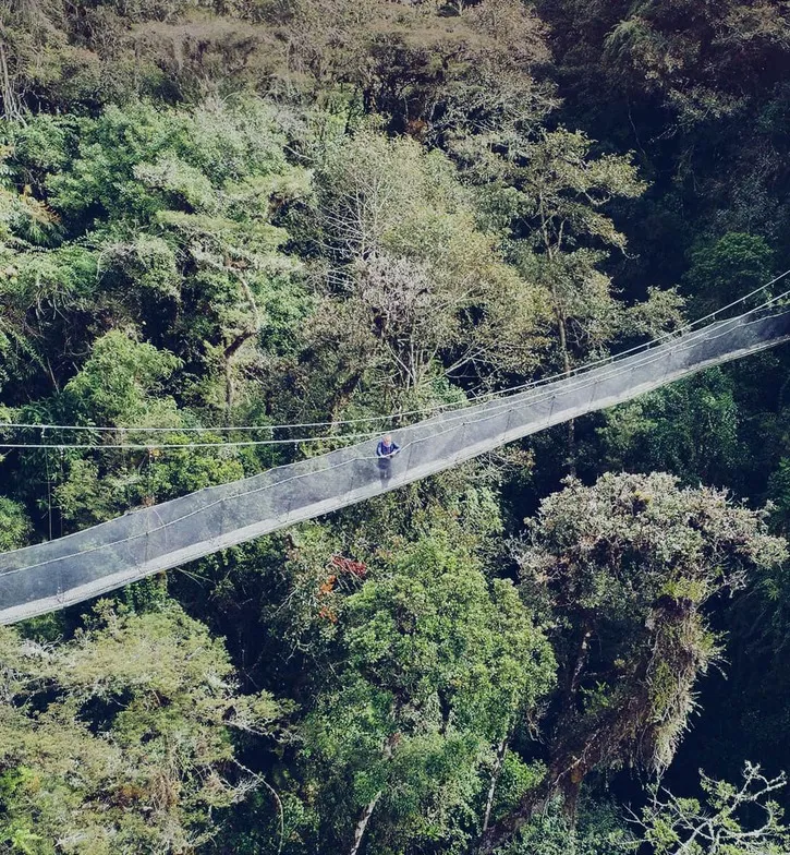 “C'EST LÀ QU’EST NÉE L'AMAZONIE, DANS CES MONTAGNES  DE HAUTE ALTITUDE.”